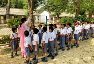 Nature walks and field trips