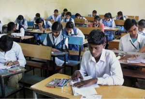 Service-learning opportunities